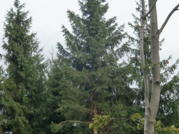 K12